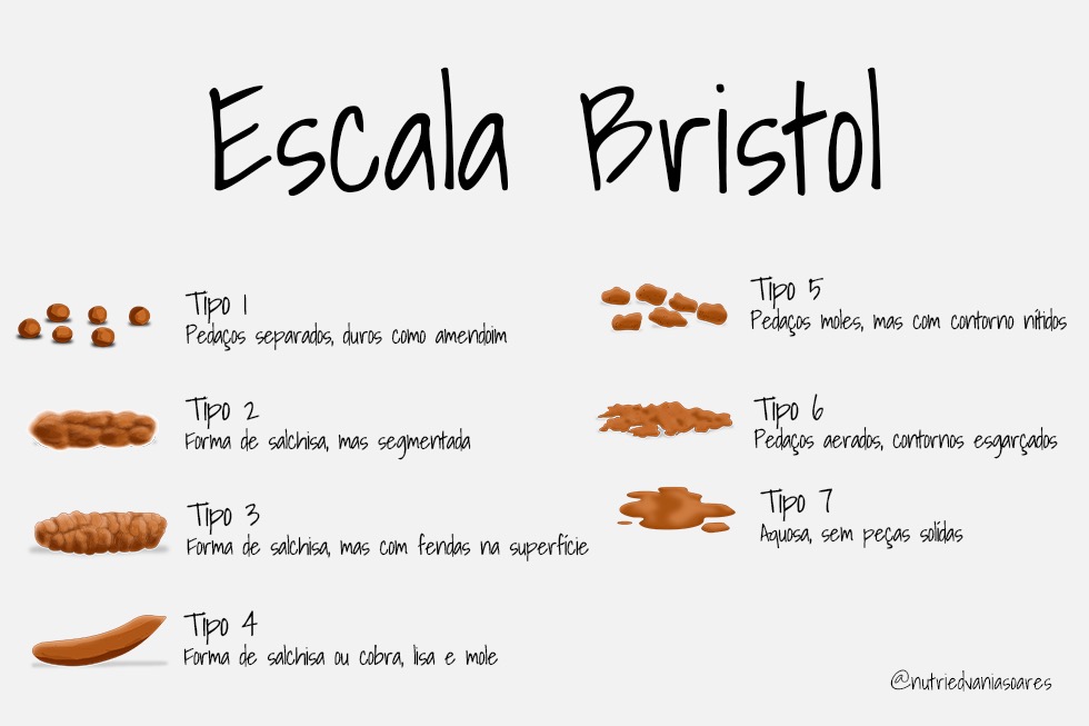 Escala de Bristol: o que as fezes revelam sobre a saúde intestinal